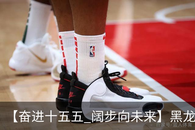 【奋进十五五 阔步向未来】黑龙江农机产业正加速迈向高端化智能化绿色化